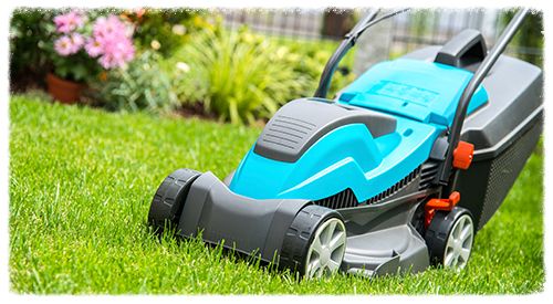 Landscaping Services Stamford, CT